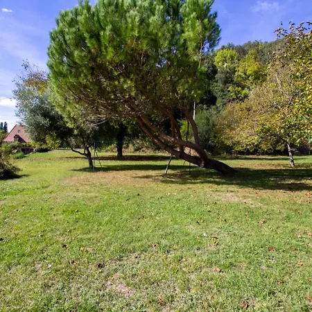 Les Palmiers بيت للعطل لا روك-غاجياك